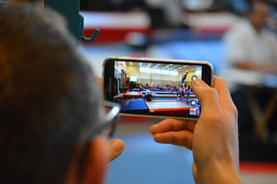 乐鱼体育官网优惠-中国篮球联赛市场细分与精准营销研究，全国篮球联赛优势