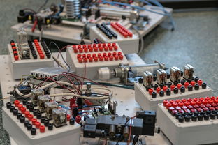 乐鱼体育官网网址-数字化转型：青训系统中的大数据应用，数字化转型_青训系统中的大数据应用有哪些